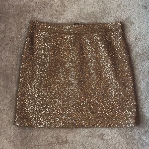 NWOT LOFT Sequin Skirt